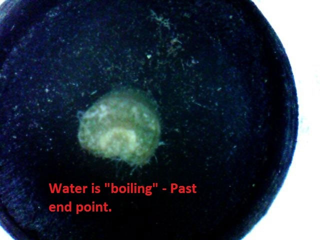 the water boils on the xylem