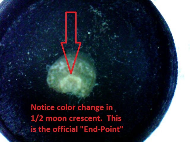 the xylem cresent color changes