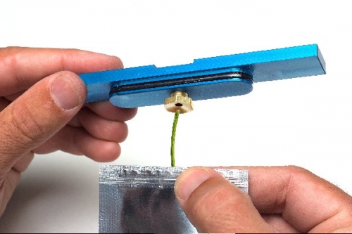 put the leaf inside of chamber