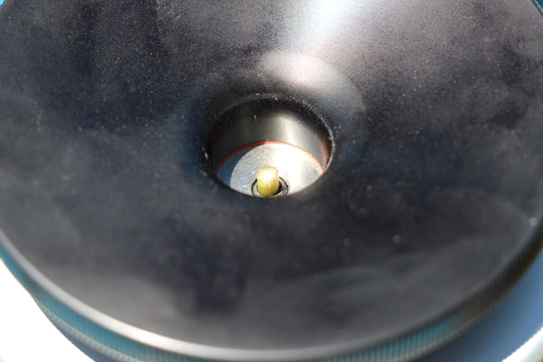 dry leaf petiole in chamber