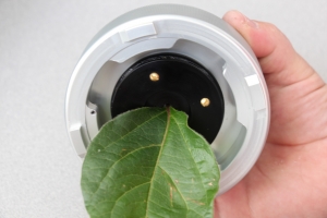 fully inserted leaf sample into the compression gland cover