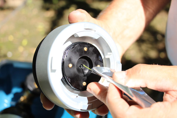 insert almond leaf petiole into an instrument