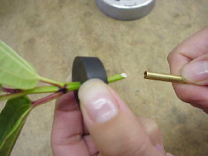 insertion tool removal