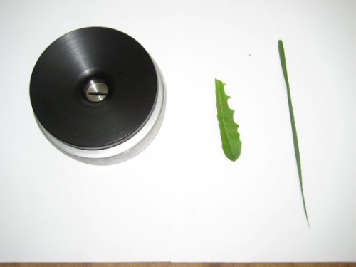 prepared grass compression gland sample