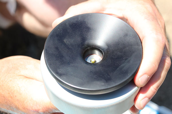 wine grape leaf petiole protruding the instrument lid