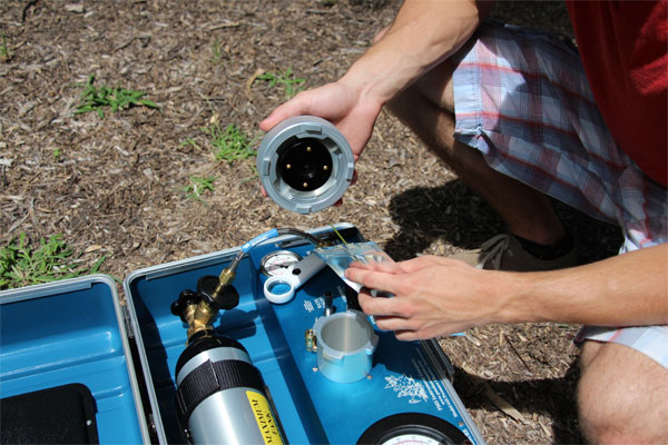 petiole being inserted into the pressure chamber