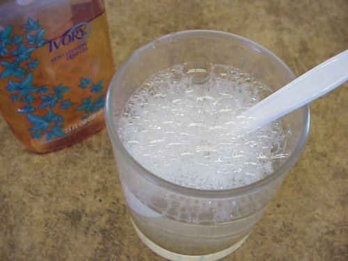 Liquid Soap and water mixture in a cup