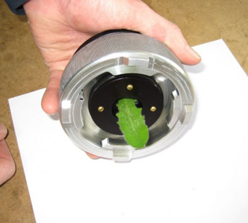 Grass Compression Gland