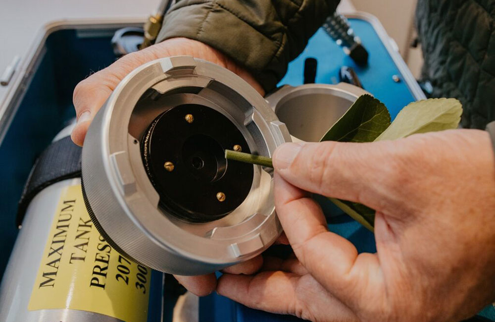 Sample placed for the endpoint tool